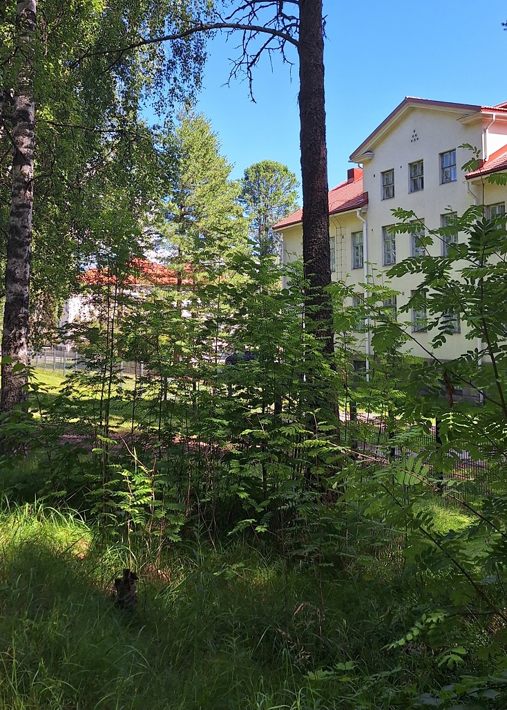 Peripeteia Artist Residency (Cooperative Nostates) photo 3