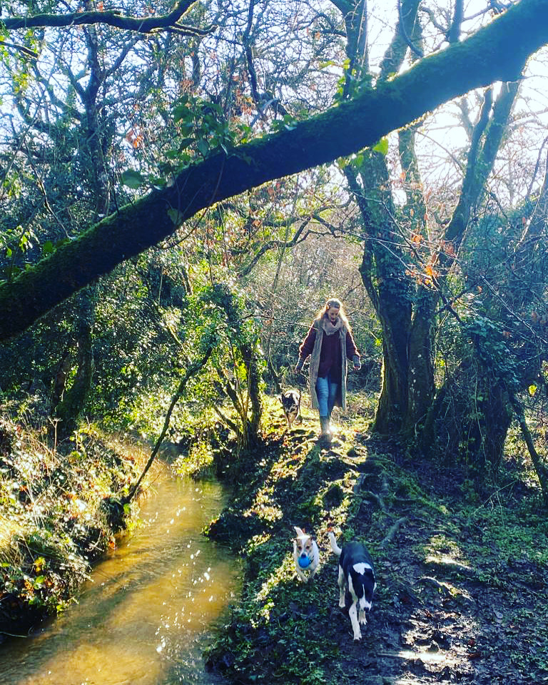 Artist Retreat and Residency in the wilds of Celtic Cornwall