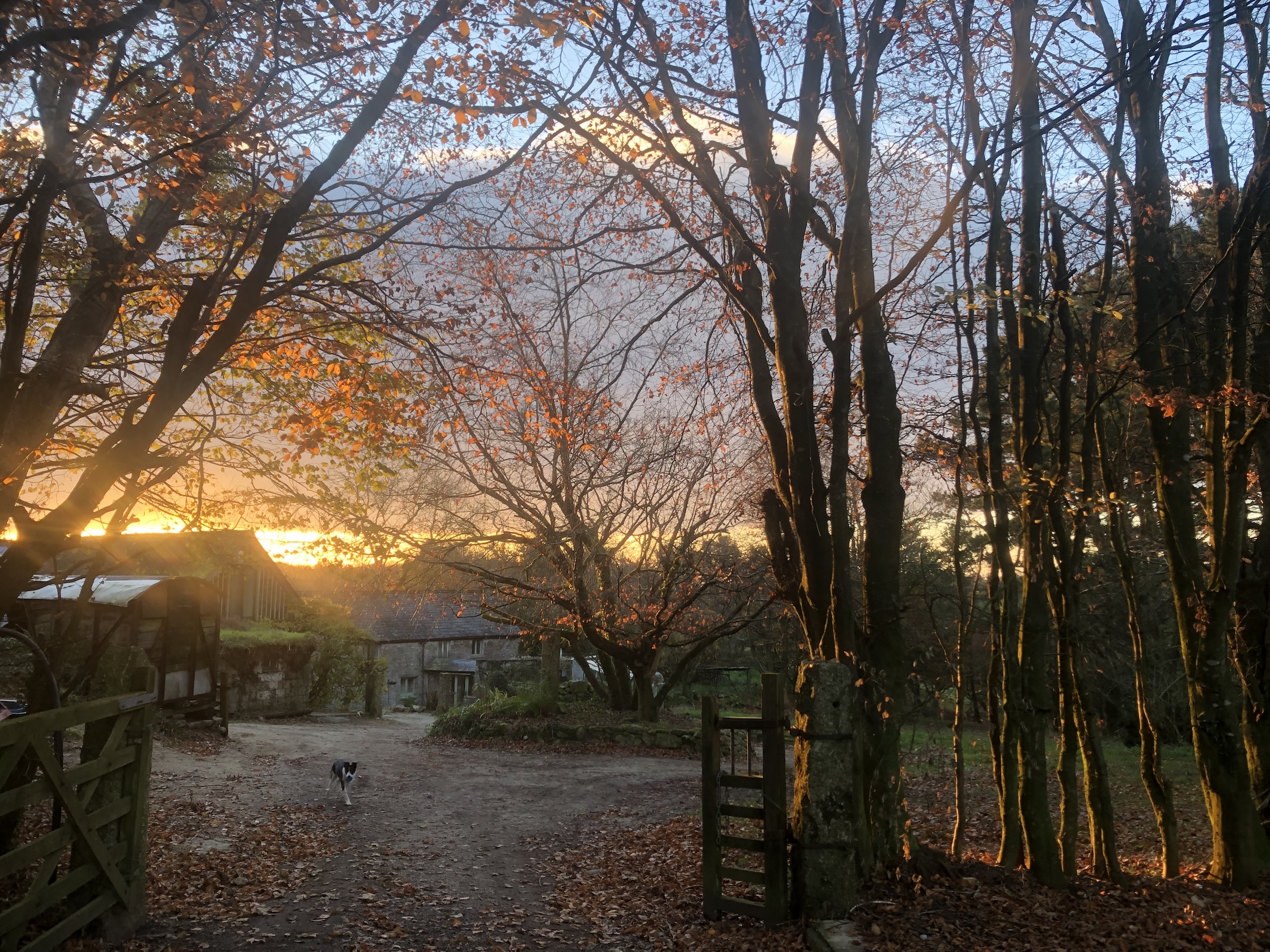 Artist Retreat and Residency in the wilds of Celtic Cornwall photo 9